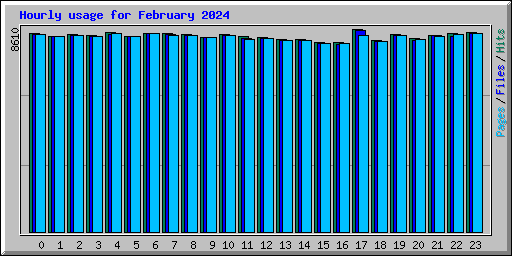 Hourly usage for February 2024