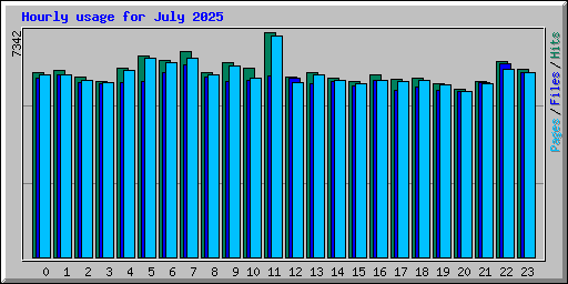 Hourly usage for July 2025