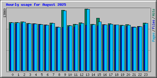 Hourly usage for August 2025