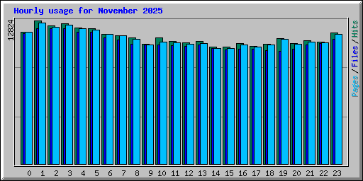 Hourly usage for November 2025